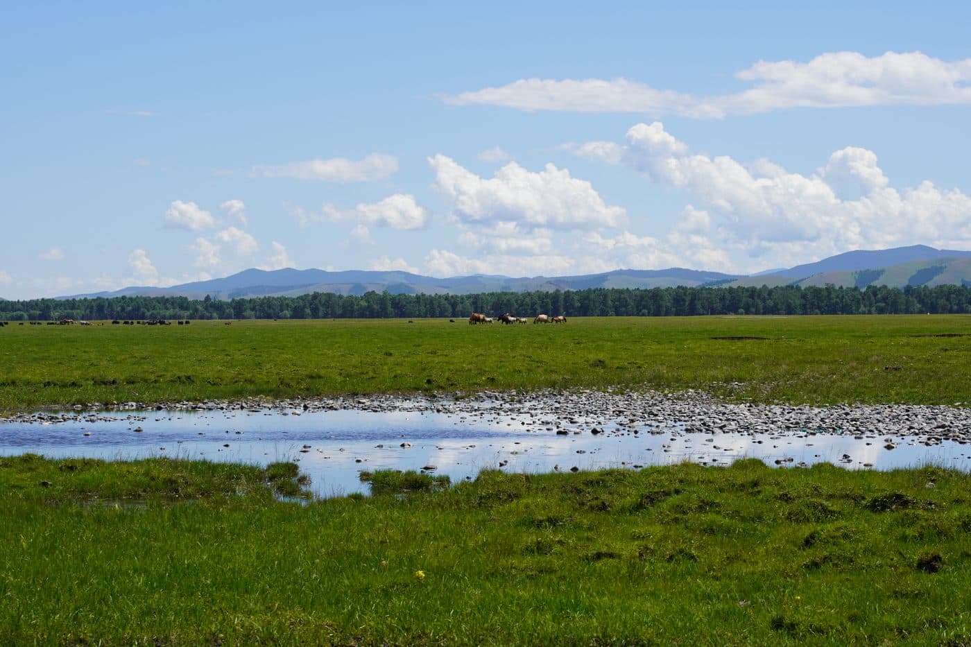 landscape