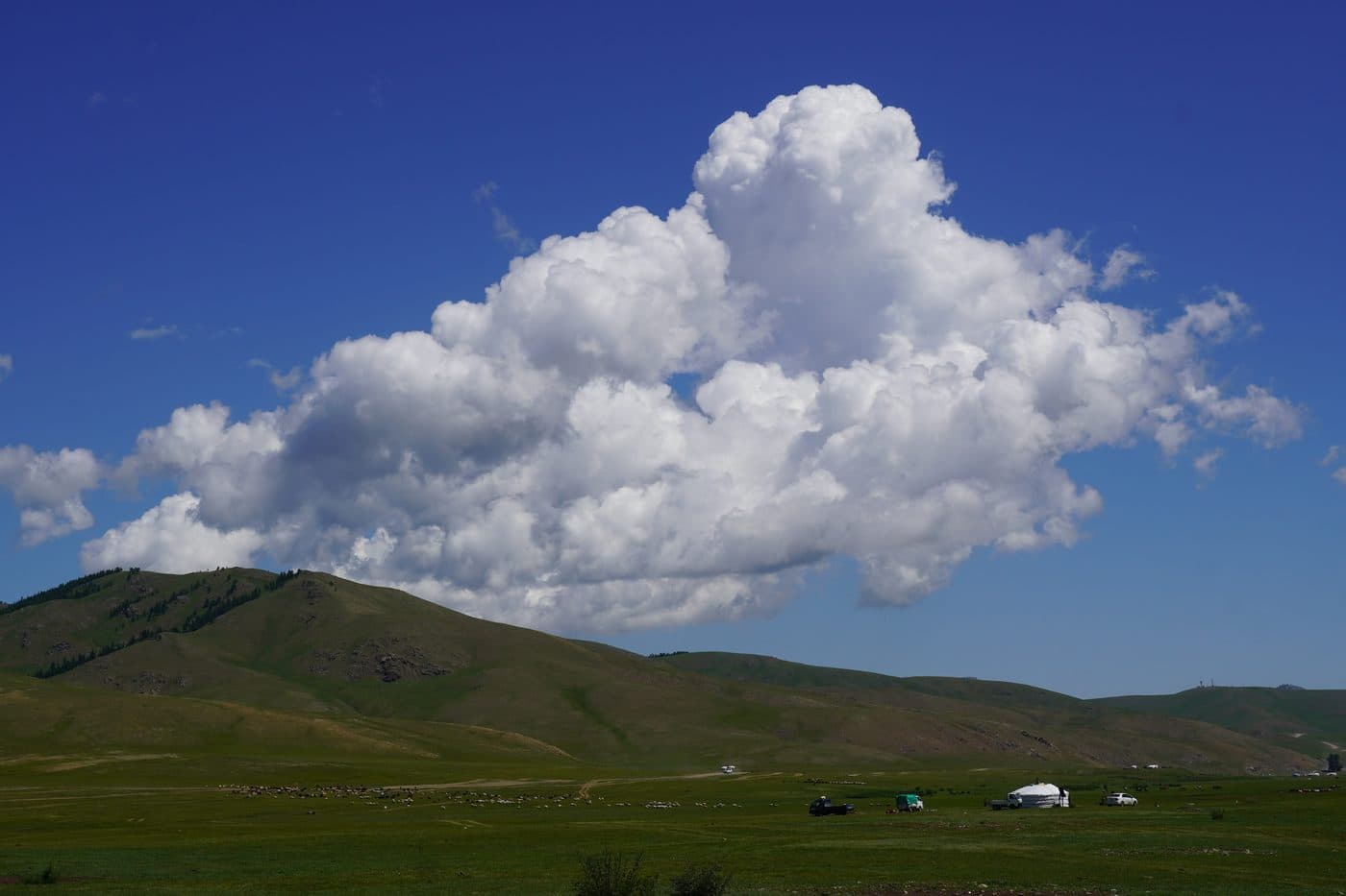 Family ger camp on the steppe